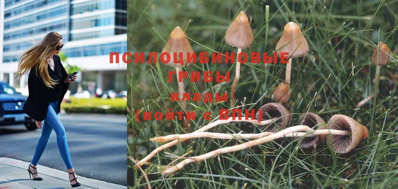 Галлюциногенные грибы MAGIC MUSHROOMS  OMG онион  Белоусово 